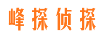 青山市私人调查